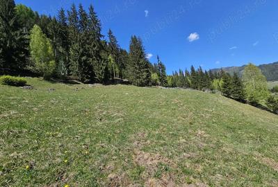 Teren de vanzare in Bucovina zona Pojorata pe Transrarau - 6
