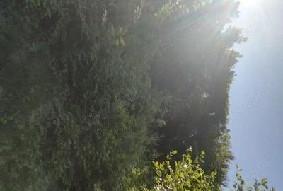Teren de 2082 mp, în Vălișoara - 4