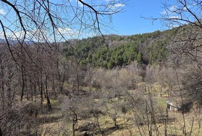 Spațiu comercial, în Căpățânenii Ungureni - 3