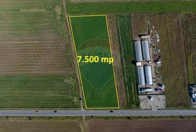 Teren de 7500 mp, în Tărlungeni - 3