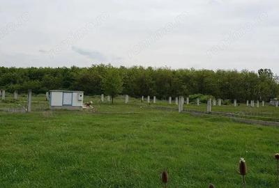 Teren intravilan de vanzare 32 parcele situate in comuna Gepiu, Bihor - 1