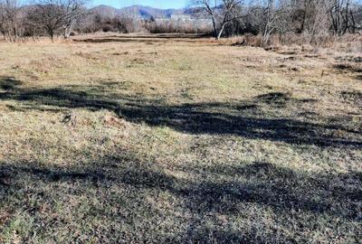 Teren de 5296 mp, în Est - 8