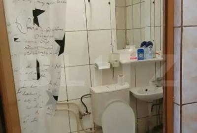 Garsonieră, mobilată în Valea Rosie - 3