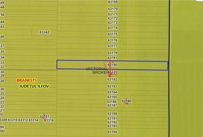 Teren extravilan 12.167 mp ? Branesti, Ilfov ? deschidere 27 m - 2