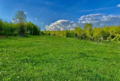 Casă cu 4 camere cu Teren 5000 Mp în Central - 5