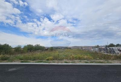 De vanzare teren industrial cu PUZ aprobat - 4