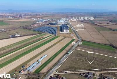 Teren de 14300 mp, în Medieșu Aurit - 5