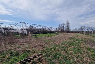 Casă cu 2 camere cu Teren 1114 Mp în Borș - 6