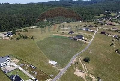 Teren de 3322 mp, în Paltin - 14