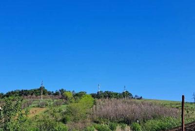 Cota de 1/2 din teren extravilan, comuna Rogova, Jud Mehe... - 3