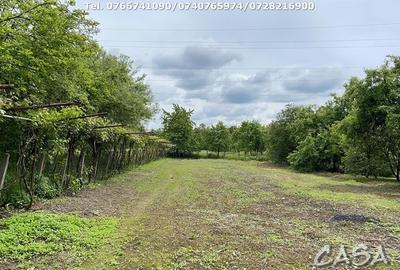 Casa 4 Camere + Teren (6500mp) si Anexe, Turcinesti - 7