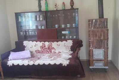 Casă cu 3 camere în Vădăstrița - 5