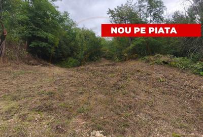 Teren intravilan Mosoaia - Hintesti - 1