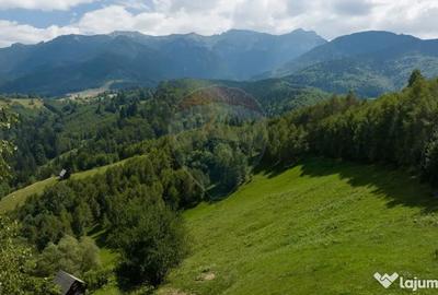 Teren de 15345 mp, în Șimon - 3