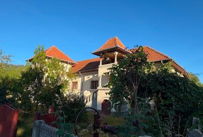 Casa Stil neoromanesc - 5