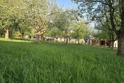 Casă cu 5 camere cu Teren 2763 Mp în Băița - 19