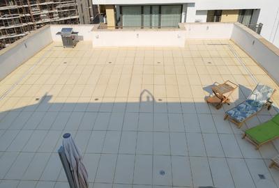 Duplex Penthouse Exclusiv 458,5 m²  Herastrau - 14