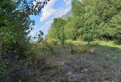 Teren de 3000 mp, în Măguri - 10