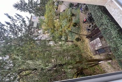 Vand sau inchiriez garsoniera alea brazilor micro 1 - 6