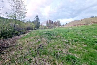 Teren Construcții intravilan de 941 mp, în Hangu - 13