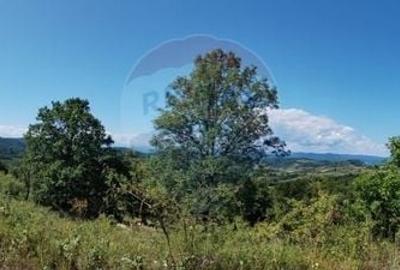 Teren 3,871mp Varmaga / None - 15