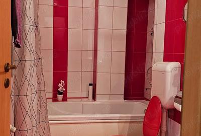 Inchiriere apartament 2 camere, zona centrala - 6