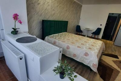 Garsonieră decomandată în Central - 7