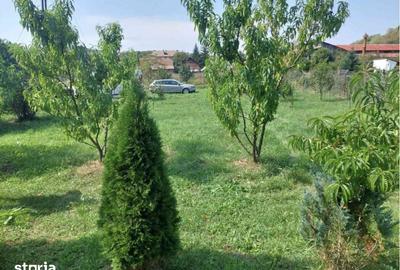 Casă cu 5 camere cu Teren 3000 Mp în Ceuaș - 3