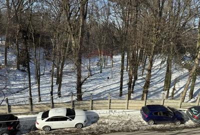 Spatiu de birouri de inchiriat in zona Gradinii Botanice, str. Ceahlau - 6