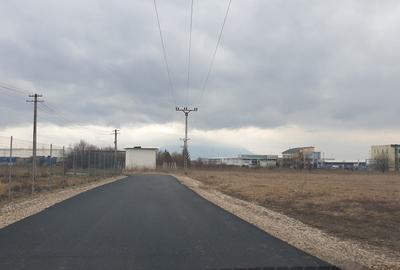 Teren Construcții intravilan de 8729 mp, în Griviței - 2