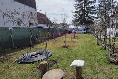 Teren Construcții intravilan de 500 mp, în Câmpinița - 1