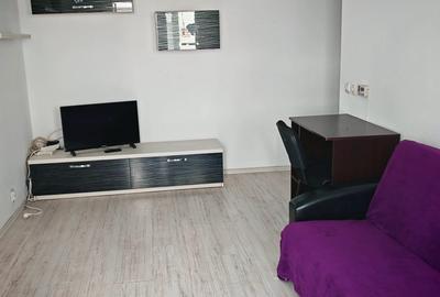 Apartament cu 2 camere semidecomandat în Banat - 2