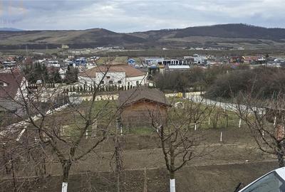 Casă cu 5 camere cu Teren 1450 Mp în Viișoara - 2