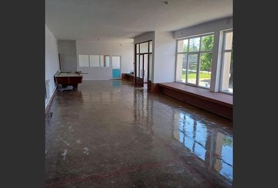 Spațiu comercial generos, la drum principal, localitatea Daia - 8