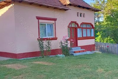 Casa Caline?ti Arges - 10