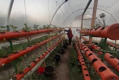 Casă individuală cu 4 camere cu Canalizare în Cornățel - 2