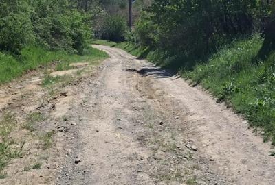 Casa batraneasca - 4