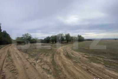 Teren de 15000 mp, în Central - 1