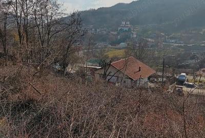 Teren de 1000 mp, în Mătișești (Ciuruleasa) - 1