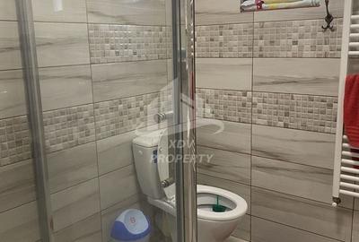 Vila  Frumoasa , Sibiu ,6 camere , 5 Bai , mobilata ,utilata - 57