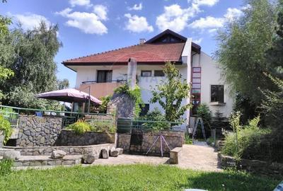Vanzare vila cu D+P+Et +M, intravilan 1670 mp, Saftica - 33