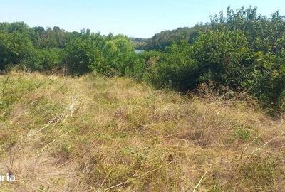 Teren de 519 mp, în Găneasa - 2