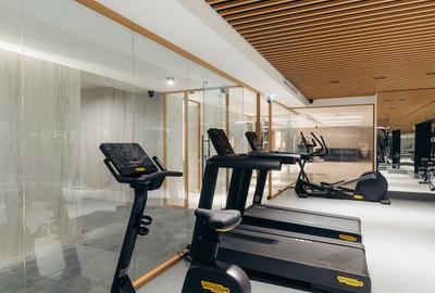 PENTHOUSE 4 CAMERE - BHB AVENUE - PISCINA, SAUNA, JACUZZI, GYM SI GRADINA URBANA PENTHOUSE 4 CAMERE - BHB AVENUE - PISCINA, SAUNA, JACUZZI, GYM SI GRADINA URBANA - 19