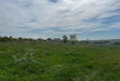 Teren Construcții intravilan de 4016 mp, în Dancu - 2
