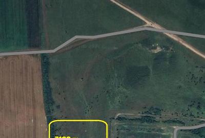 Teren de 7100 mp, în Central - 3