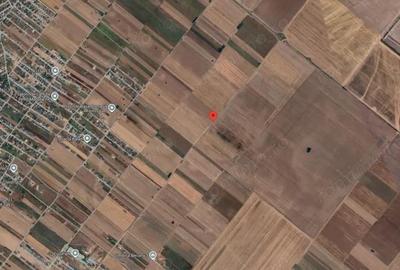 Teren Extravilan In Rate Primaverii Com. Berceni | 4819mp | #EG40 - 3