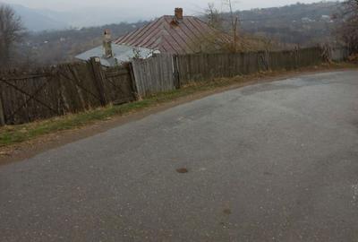 Casă în Dumitrești - 4