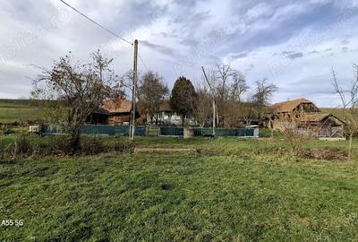 Casă cu 2 camere în Șăulia - 4