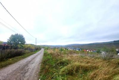 Teren de 1500 mp, în Bârnova - 5