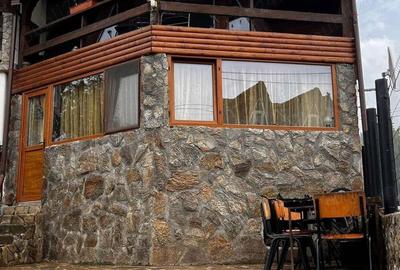 Vand cabana in Valiug - afacere la cheie - 7